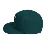 Bison Football Snapback Hat