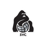 Silverback Volleyball Club Bubble-free stickers