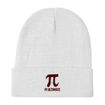 Pi Ultimate Embroidered Beanie