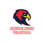 Christel House Volleyball Bubble-free stickers