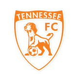Tennessee FC Bubble-free stickers