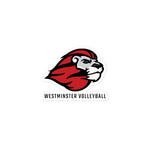 Westminster Volleyball Bubble-free stickers