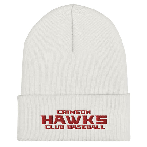 Crimson Hawks Club Baseball