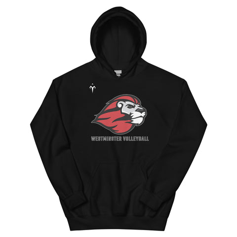 Westminster Volleyball Unisex Hoodie