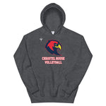 Christel House Volleyball Unisex Hoodie